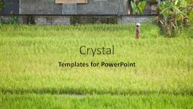  Presentation with third world - 