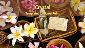  Presentation with green leaf - Amazing slides having bali frangipani - green leaf texture and spa backdrop and a tawny brown colored foreground