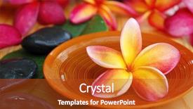  Presentation with wellness - Beautiful presentation theme featuring bali frangipani - spa and wellness backdrop and a crimson colored foreground