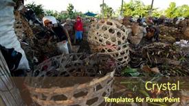  Presentation with java island - 