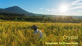  Presentation with rice field - 