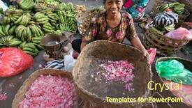  Presentation with agricultural - Slide deck with bali-indonesia-march-16-2016 background and a tawny brown colored foreground