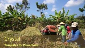  Presentation with rice grains - 