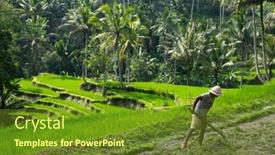  Presentation with agriculture planting - Audience pleasing presentation theme consisting of bali-indonesia-september-20-2014 backdrop and a tawny brown colored foreground