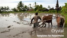  Presentation with new season - 