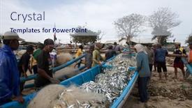  Presentation with sea fishing - 