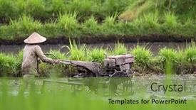  Presentation with bali - Cool new theme with bali-january-17-farmer-plows backdrop and a seafoam green colored foreground