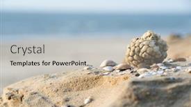  Presentation with shell - PPT theme with ball-eggs-of-common-whelk background and a soft green colored foreground