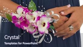  Presentation with prom - Presentation enhanced with ball gown - prom or wedding corsage background and a wine colored foreground