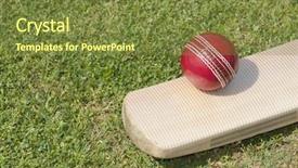  Presentation with cricket - Slide deck featuring ball on a cricket bat background and a tawny brown colored foreground