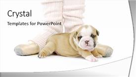  Presentation with ballerina - Theme featuring young happy couple during the celebration of christmas at home background and a gray colored foreground