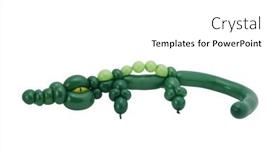  Presentation with balloon - PPT theme consisting of balloon-alligator background and a white colored foreground