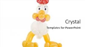  Presentation with animal chicken - Amazing slides having birthday farm - balloon animal chicken isolated backdrop and a white colored foreground