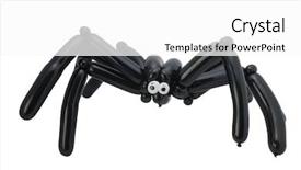  Presentation with spider - Colorful PPT theme enhanced with balloon spider isolated on white backdrop and a white colored foreground
