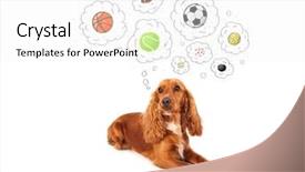  Presentation with christmas balls disco ball - Audience pleasing presentation theme consisting of balls in thought bubble backdrop and a white colored foreground