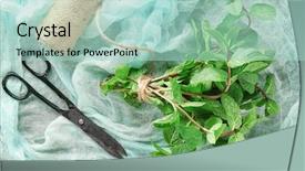  Presentation with lavendar bunch - Cool new PPT theme with balm and scissors on gauze backdrop and a  colored foreground