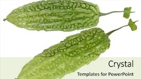  Presentation with bitter melon - PPT theme with balsam pear bitter melon isolated background and a yellow colored foreground