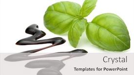  Presentation with salad dressing - Audience pleasing presentation design consisting of balsamic-vinegar-cream-and-basil backdrop and a light gray colored foreground