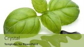  Presentation with salad dressing - Amazing slide set having balsamic-vinegar-cream-and-basil backdrop and a gold colored foreground