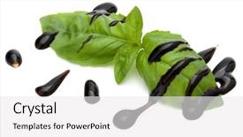 Presentation with salad dressing - Beautiful slide deck featuring balsamic vinegar cream and basil backdrop and a white colored foreground
