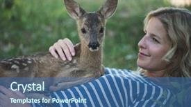  Presentation with deer - PPT theme enhanced with bambi - cute roe deer lying background and a ocean colored foreground