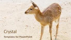  Presentation with bambi - Amazing PPT layouts having bambi - female roe deer backdrop and a lemonade colored foreground