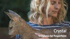  Presentation with safari park beautiful wildlife animal - Colorful slide deck enhanced with bambi - young beautiful woman hugging animal backdrop and a violet colored foreground