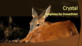  Presentation with dead leaves - Colorful PPT layouts enhanced with bambi - young dear is resting backdrop and a  colored foreground