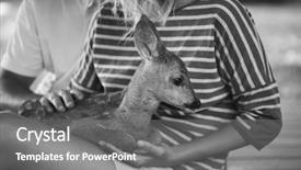  Presentation with bambi - Colorful presentation design enhanced with bambi - zookeeper taking care of baby backdrop and a gray colored foreground