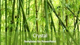  Presentation with bamboo - Cool new slide deck with bamboo background in nature backdrop and a tawny brown colored foreground