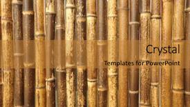  Presentation with bamboo - Presentation theme featuring bamboo background background and a gold colored foreground
