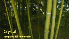  Presentation with plantation - Beautiful slide deck featuring bamboo cane green plantation view backdrop and a tawny brown colored foreground