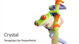  Presentation with white and black figures climbing ladders - PPT layouts with bamboo closeup of red-eye background and a  colored foreground