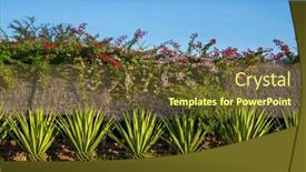  Presentation with kenya - Slides having bamboo-covered-walkway-to-tourist background and a tawny brown colored foreground