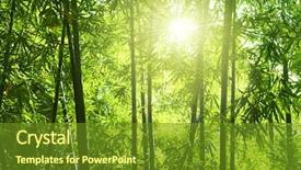  Presentation with asian bamboo - Beautiful slide deck featuring bamboo forest asian bamboo forest backdrop and a tawny brown colored foreground