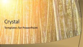  Presentation with kyoto - Cool new presentation theme with bamboo forest at arashiyama kyoto backdrop and a yellow colored foreground