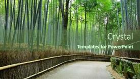  Presentation with kyoto - Presentation theme with bamboo forest in kyoto background and a tawny brown colored foreground