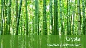  Presentation with kyoto - PPT layouts enhanced with bamboo forest of arashiyama near background and a forest green colored foreground