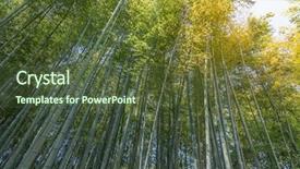  Presentation with kyoto - Audience pleasing presentation theme consisting of bamboo forest with sky backdrop and a tawny brown colored foreground