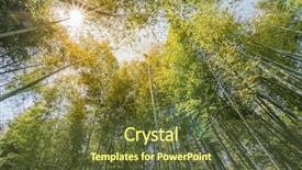  Presentation with kyoto - Colorful PPT layouts enhanced with young woman using laptop at home backdrop and a light gray colored foreground