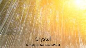  Presentation with kyoto - PPT theme enhanced with bamboo forest with sky background and a coral colored foreground