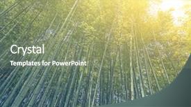  Presentation with kyoto - Beautiful presentation design featuring bamboo forest with sky backdrop and a gray colored foreground