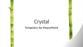  Presentation with civil engineering related to bamboo - Presentation design having bamboo frame made of stems background and a white colored foreground