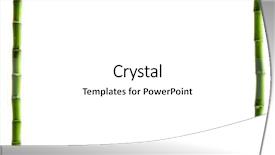  Presentation with bamboo - Amazing presentation theme having bamboo frame made of stems backdrop and a white colored foreground