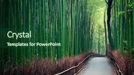  Presentation with kyoto - Theme enhanced with bamboo grove in arashiyama kyoto background and a forest green colored foreground