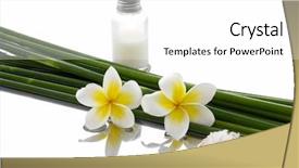  Presentation with oil and gas - Amazing slides having bamboo grove oil salt backdrop and a white colored foreground