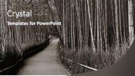  Presentation with kyoto - Amazing slide deck having bamboo-grove-panorama-in-arashiyama backdrop and a dark gray colored foreground