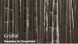  Presentation with kyoto - Slides consisting of bamboo grove panorama in arashiyama kyoto japan background and a tawny brown colored foreground