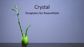  Presentation with green glass - Theme consisting of bamboo in a green opaque background and a  colored foreground