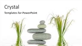  Presentation with water bamboo - Amazing PPT layouts having bamboo leaf grass and spa stones in perfect balance with reflection in rippled grey water over white background backdrop and a white colored foreground
